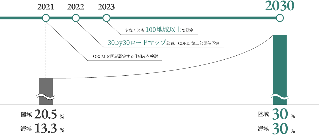 30by30のロードマップ図